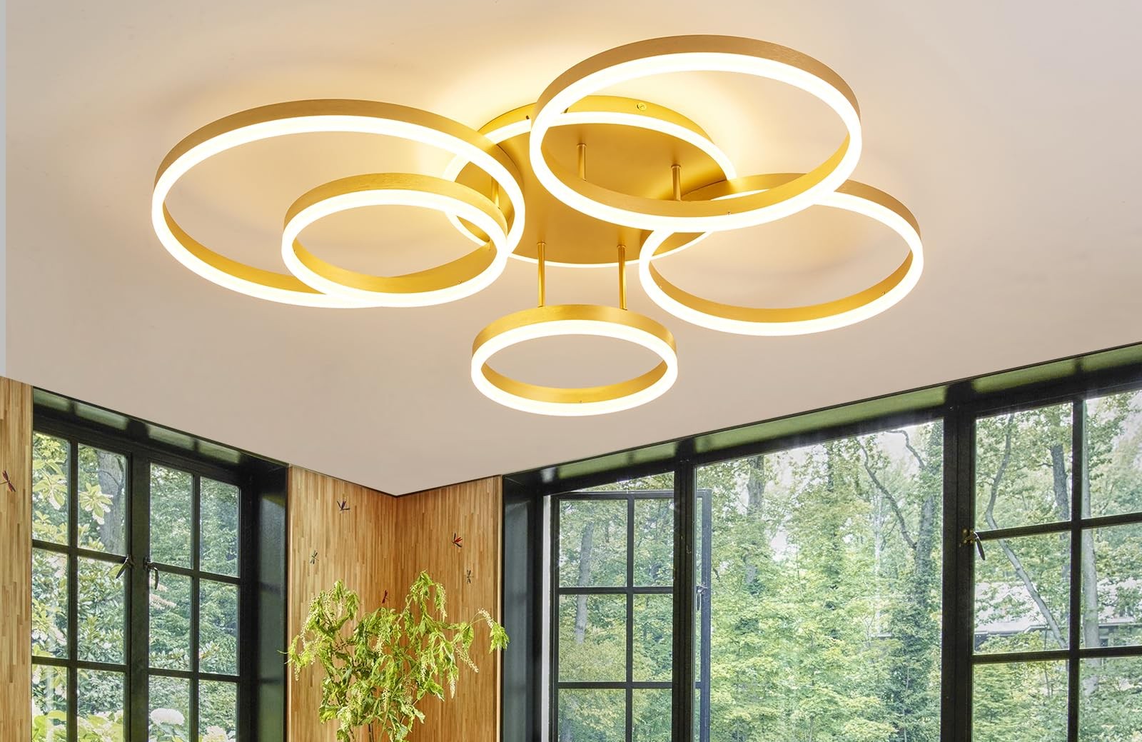 Ceiling Lights